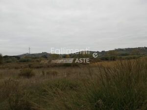 Esecuzione Immobiliare Nr. 99/2020