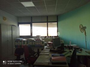 Esecuzione Immobiliare Nr. 122/2024