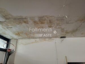 Liquidazione Giudiziale Nr. 13/2025