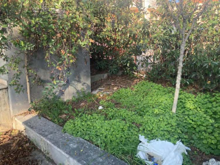 Esecuzione Immobiliare Nr. 42/2019