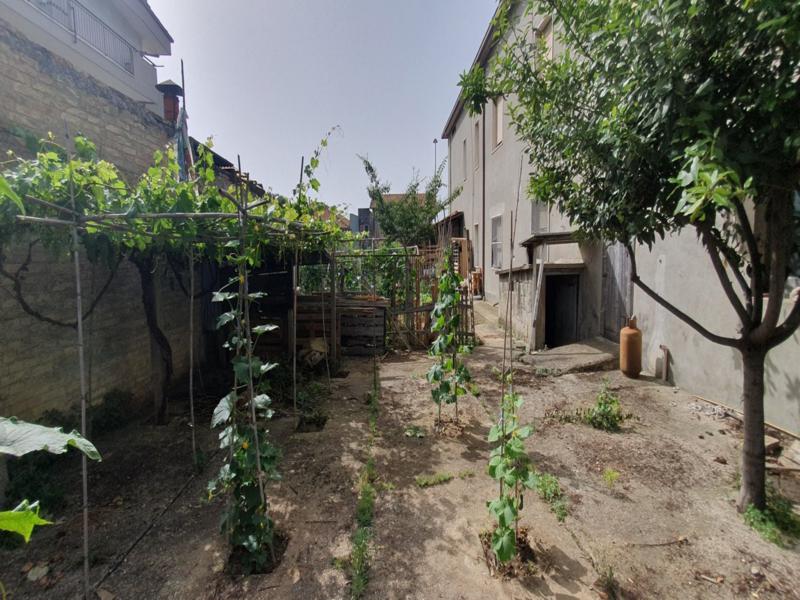 Procedura Fallimentare Nr. 6/2018
