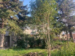Esecuzione Immobiliare Nr. 42/2019