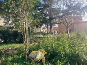Esecuzione Immobiliare Nr. 42/2019