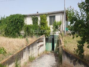 Procedura Fallimentare Nr. 6/2018