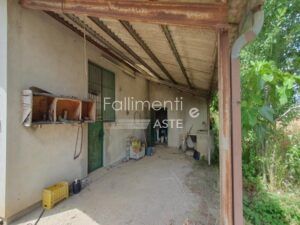 Procedura Fallimentare Nr. 6/2018