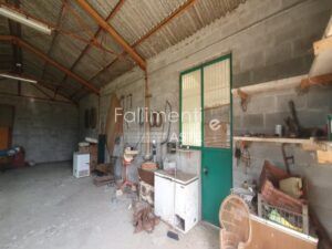 Procedura Fallimentare Nr. 6/2018
