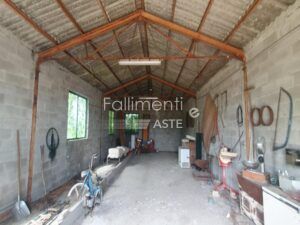 Procedura Fallimentare Nr. 6/2018