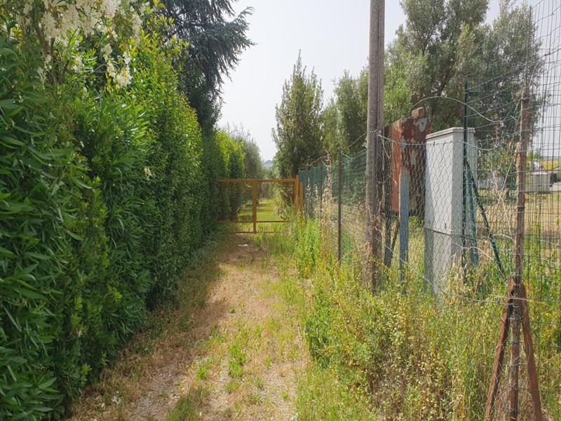 Procedura Fallimentare Nr. 6/2018