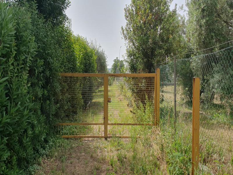 Procedura Fallimentare Nr. 6/2018