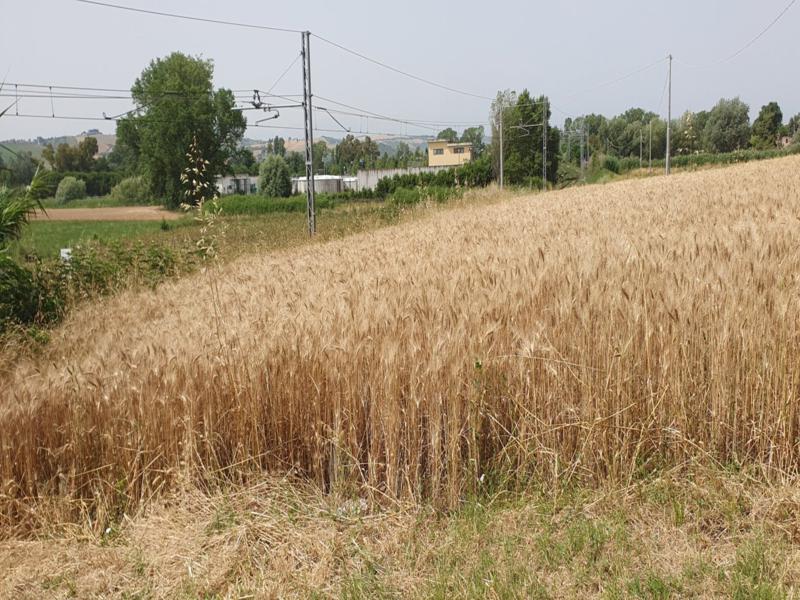 Procedura Fallimentare Nr. 6/2018