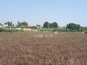 Procedura Fallimentare Nr. 6/2018