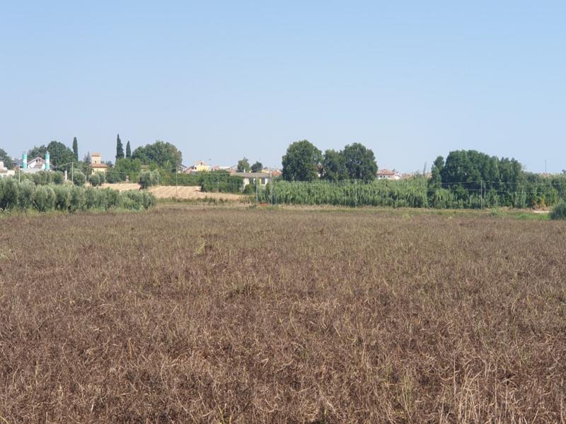 Procedura Fallimentare Nr. 6/2018