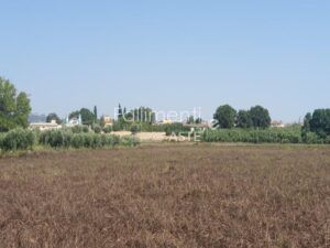 Procedura Fallimentare Nr. 6/2018
