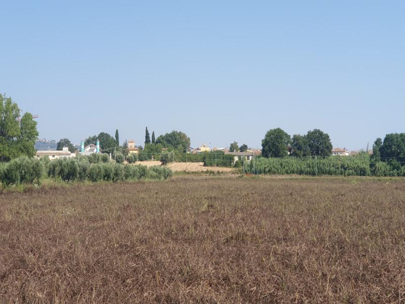 Procedura Fallimentare Nr. 6/2018