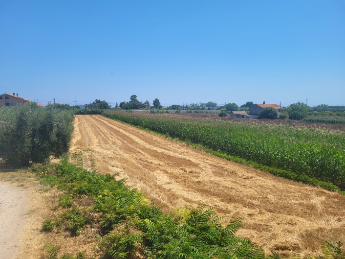 Liquidazione Giudiziale Nr. 13/2025 - Fallimenti e Aste