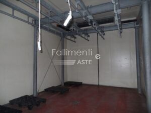 Procedura Fallimentare Nr. 229/2015