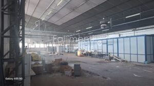 Liquidazione Giudiziale Nr. 33/2024 R.G.