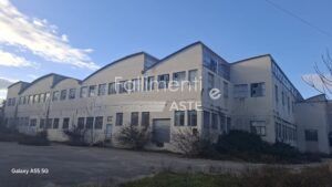 Liquidazione Giudiziale Nr. 33/2024 R.G.
