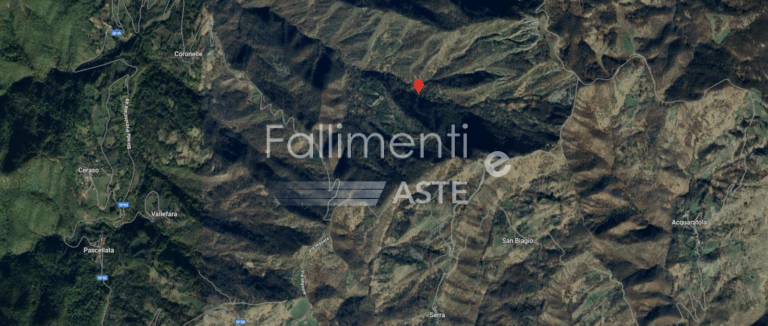 Procedura di Liquidazione Nr. 680/2019 V.G. - Fallimenti e Aste