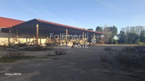 Liquidazione Giudiziale Nr. 33/2024 R.G.