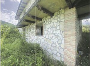 Esecuzione Immobiliare Nr. 275/2015
