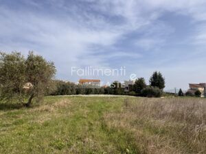 Esecuzione Immobiliare Nr. 223/2014