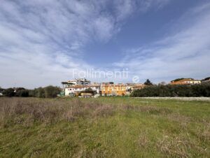 Esecuzione Immobiliare Nr. 223/2014
