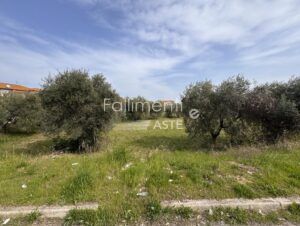 Esecuzione Immobiliare Nr. 223/2014
