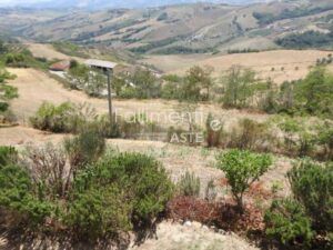 Esecuzione Immobiliare Nr. 29/2014
