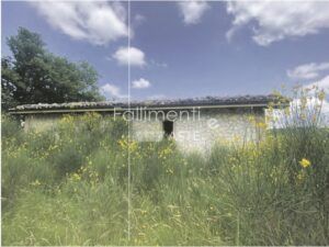 Esecuzione Immobiliare Nr. 275/2015