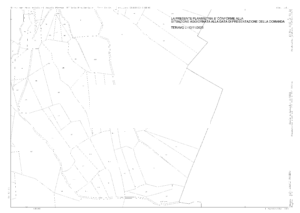 Procedura Fallimentare Nr. 38/2006