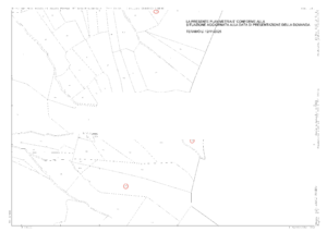 Procedura Fallimentare Nr. 38/2006