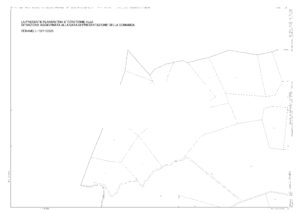 Procedura Fallimentare Nr. 38/2006