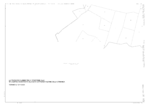 Procedura Fallimentare Nr. 38/2006