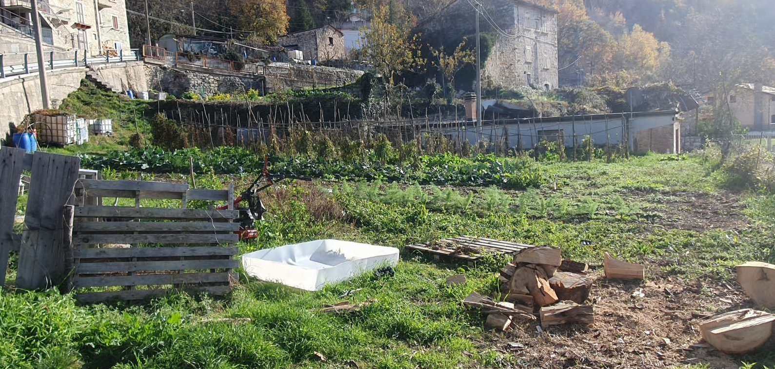 Procedura Fallimentare Nr. 38/2006
