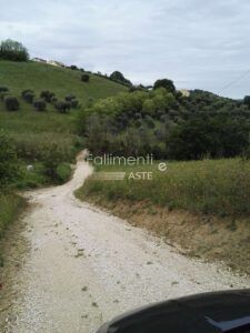Esecuzione Immobiliare Nr. 92/2018