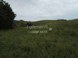 Esecuzione Immobiliare Nr. 92/2018