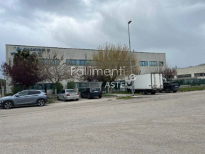 Liquidazione Giudiziale Nr. 29/2025