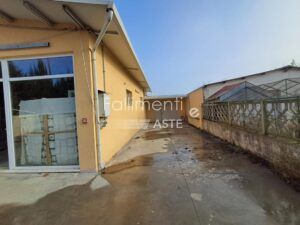 Esecuzione Immobiliare Nr. 117/2025