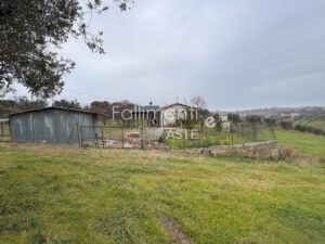 Esecuzione Immobiliare Nr. 340/2017