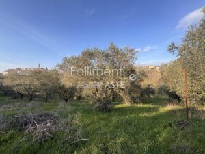Esecuzione Immobiliare Nr. 340/2017
