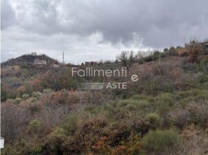 Esecuzione Immobiliare Nr. 209/2025