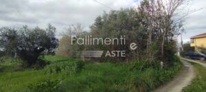 Procedura Fallimentare Nr. 39/2022