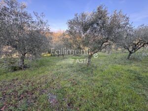 Esecuzione Immobiliare Nr. 340/2017