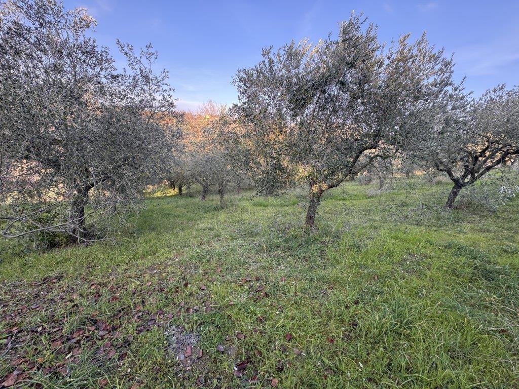 Esecuzione Immobiliare Nr. 340/2017