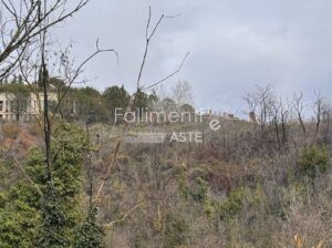 Esecuzione Immobiliare Nr. 209/2025