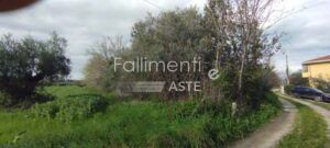 Procedura Fallimentare Nr. 39/2022