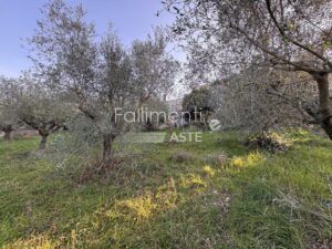 Esecuzione Immobiliare Nr. 340/2017