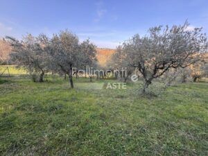 Esecuzione Immobiliare Nr. 340/2017