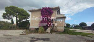Procedura Fallimentare Nr. 1/2020